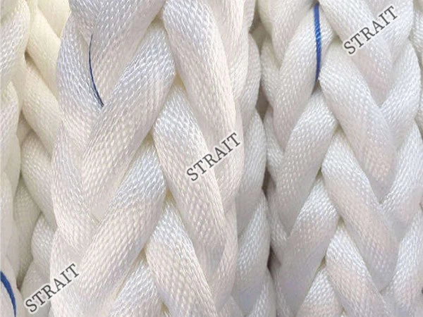 Atactic Polypropylene Glass Transition